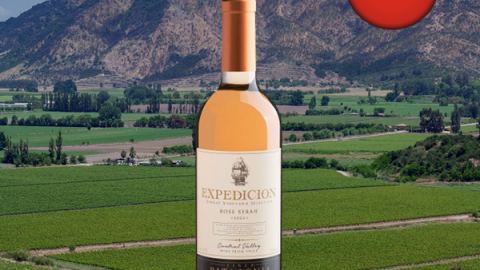 Expedicion Single Vineyard Selection Syrah Rosé Central Valley DO 2023 - Oferta