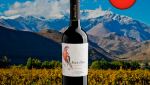 Aves Del Sur Carménère Valle del Loncomilla DO 2022 - Oferta