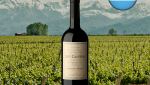 DV Catena Cabernet Malbec 2020 - Oferta