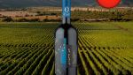La Playa Terroir Selection Valle de Colchagua Carménère 2019 - Oferta