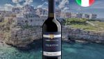 Corte Balda Primitivo di Salento IGT 2021 - Oferta