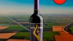 Los Placeres Reserve Cabernet Sauvignon Central Valley DO 2019 - Oferta