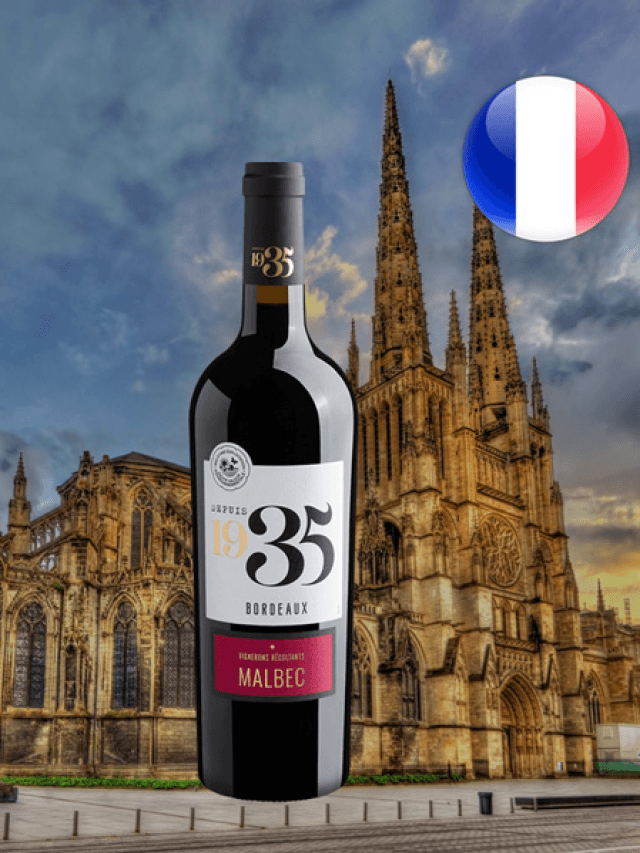 Um legítimo Malbec de Bordeaux por um preço bem honesto