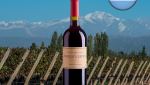 Angelica Zapata Cabernet Sauvignon Alta - Oferta