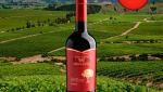Rawen Reserva Cabernet Sauvignon Estate Bottled 2021 - Oferta
