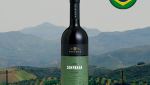 Salton Campanha Tannat - Oferta