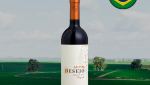 Salton Desejo Merlot - Oferta
