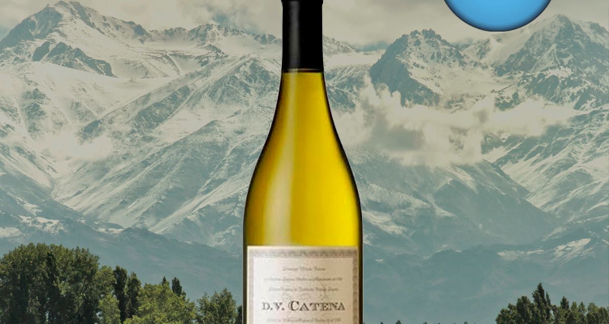 DV Catena Chardonnay-Chardonnay - Oferta