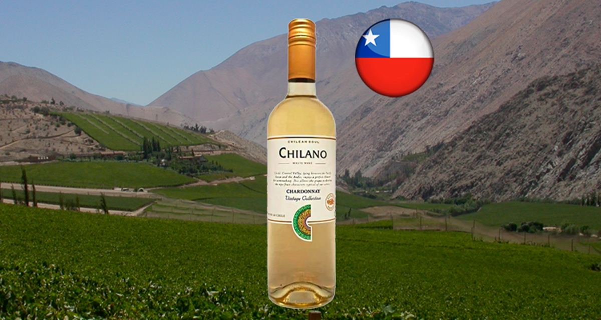 Chilano Chardonnay - Thumbnail