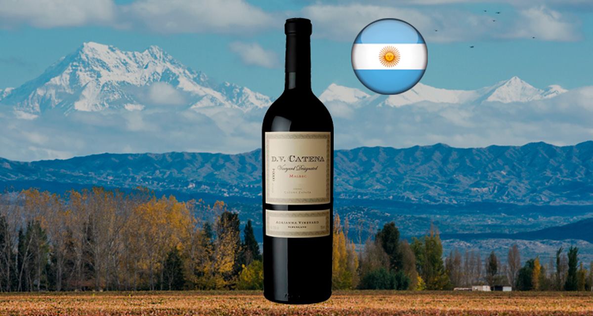 Dv Catena Adrianna Vineyard Malbec 2018 - Thumbnail