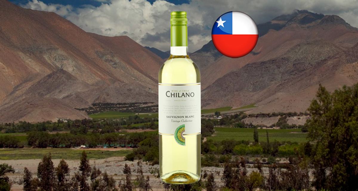 Chilano Sauvignon Blanc - Thumbnail