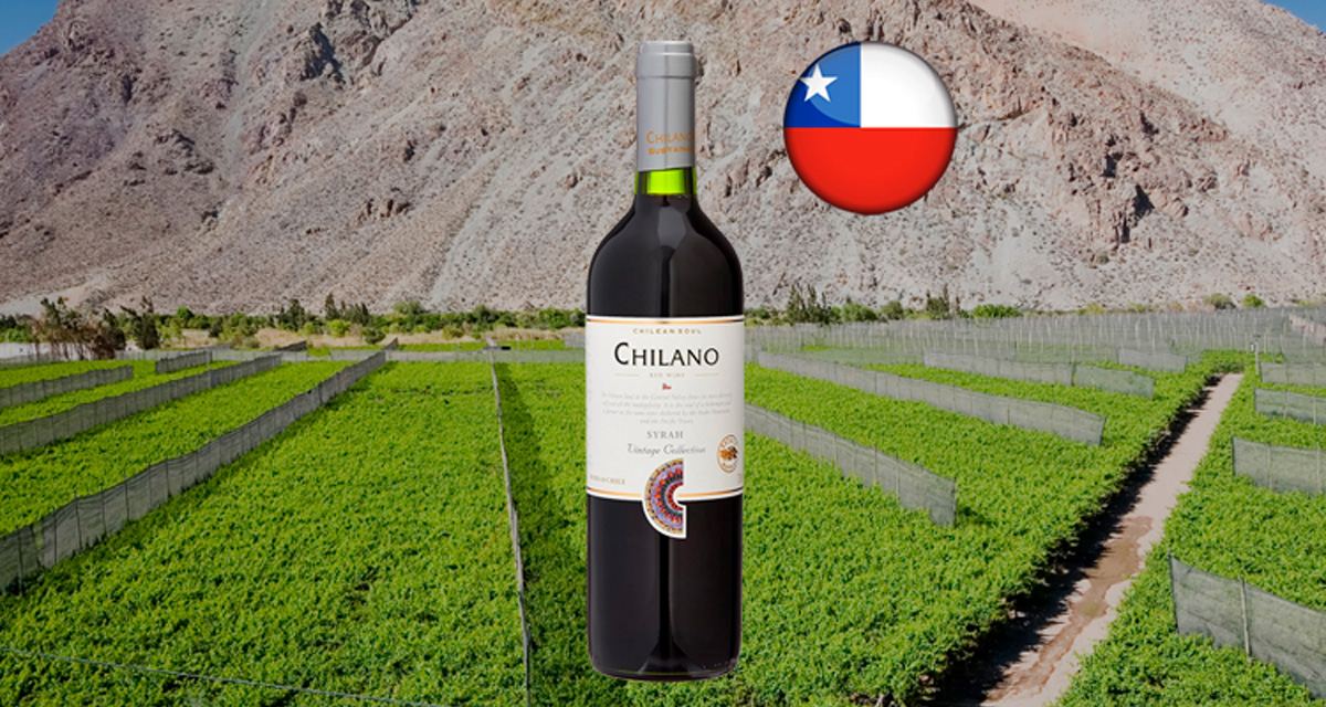 Chilano Syrah Vintage Collection - Thumbnail