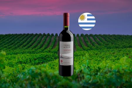 Tierra del Mar Cabernet Sauvignon 2022 - Thumbnail