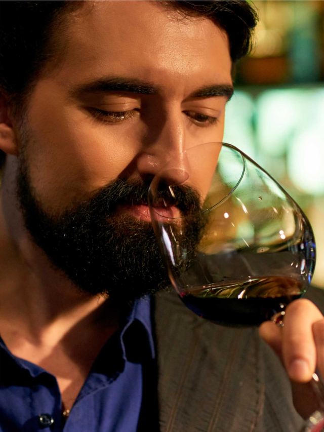Vinhos Merlot pelo Mundo: Uma Jornada Sensorial