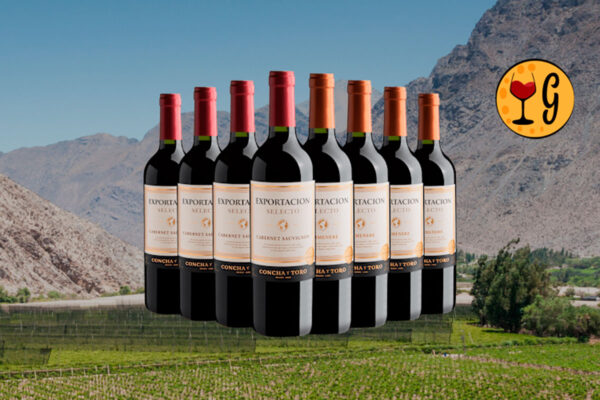 Kit Concha y Toro Exportacion - Uma Experiência Única em Vinhos Chilenos - Thumbnail