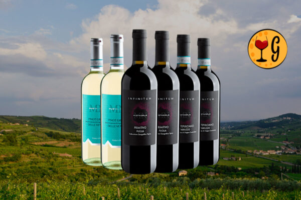 Kit de Vinhos Italianos Infinitum Primitivo, Montepulciano e Pinot Grigio – A Essência da Itália em Uma Experiência Única - Thumbnail