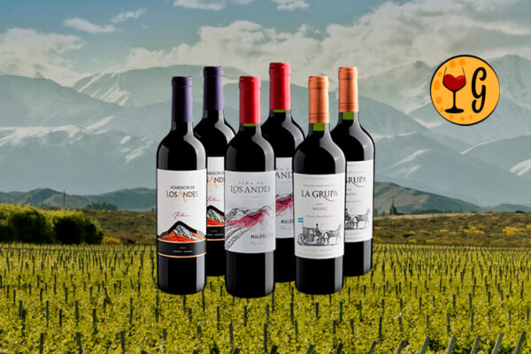 Kit de Vinhos Malbec em Dobro - 6 garrafas por R$29,90 cada - Thumbnail