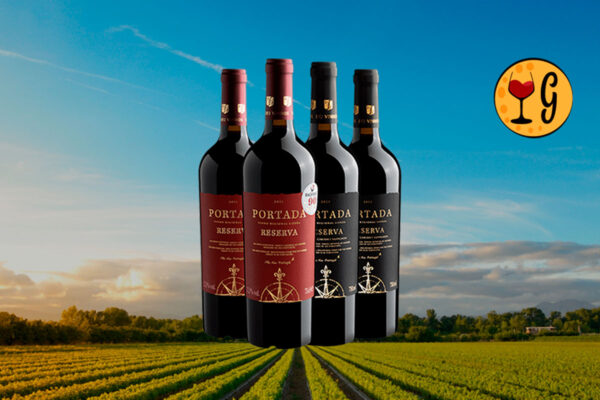 Kit de Vinhos Portadas Reservas Tintos - Experiência Completa de Portugal no Seu Copo - Thumbnail