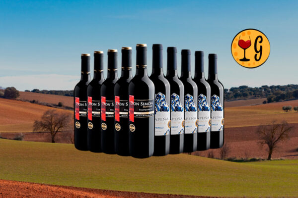 Kit de Vinhos Tempranillo 2 rótulos campeões - Don Simon Selección Tempranillo + 5 Vinãpena Tempranillo - Um convite para explorar novos sabores! - Thumbnail