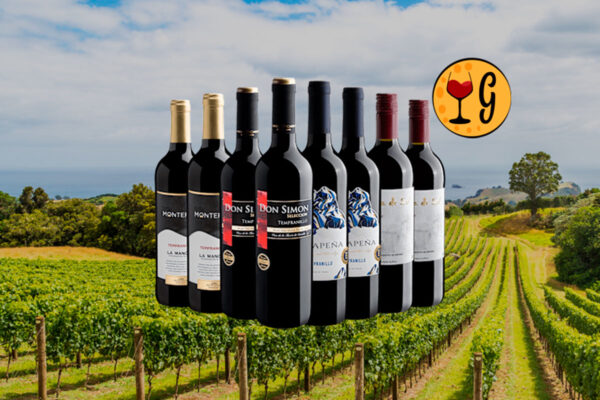 Kit de Vinhos Tempranillo Exclusivo - 8 garrafas - Thumbnail
