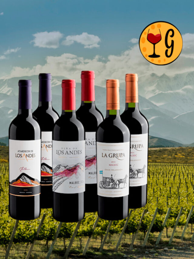 Kit de Vinhos Malbec em Dobro – 6 garrafas por R$29,90 cada