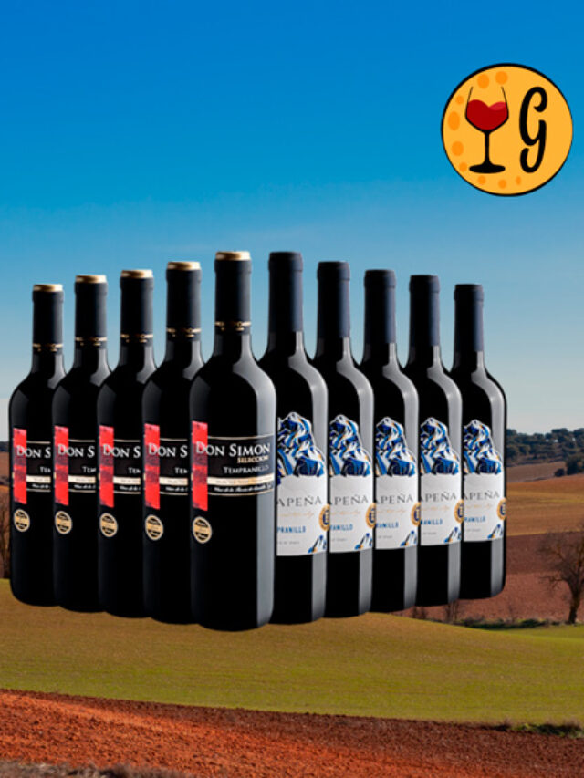 Kit de Vinhos Tempranillo 2 rótulos campeões – Don Simon Selección Tempranillo + 5 Vinãpena Tempranillo