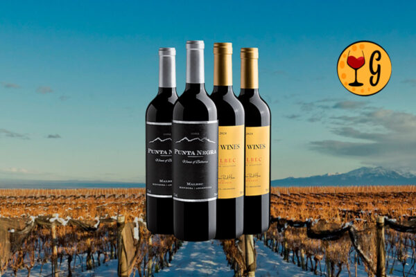 Kit de Vinhos Malbec Premiados com 2 Rótulos Exclusivos, 4 Garrafas de Pura Excelência - Thumbnail