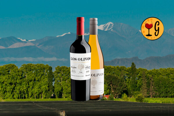 Kit 2 Vinhos Zuccardi Los Olivos - Mendoza em Branco e Tinto com Preço Especial - Thumbnail