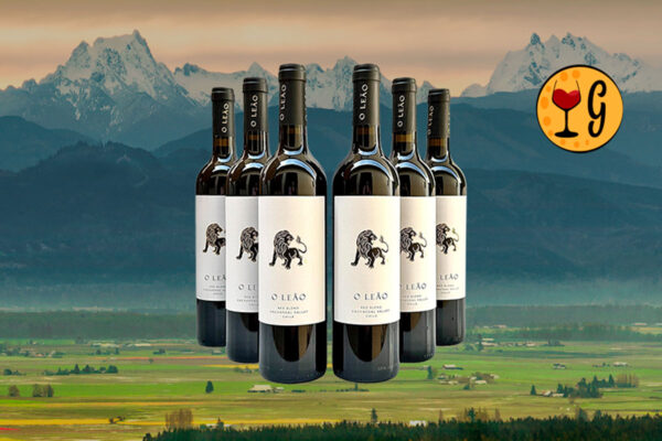 Kit 6 Garrafas Vik O Leão Red Blend 2021 – Força e Elegância Chilena Multiplicadas por Seis - Thumbnail