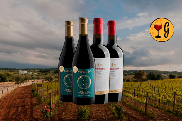Kit 4 Vinhos Italianos 98 Pontos Luca Maroni – Puglia e Veneto Unem Forças a Preço Especial - Thumbnail