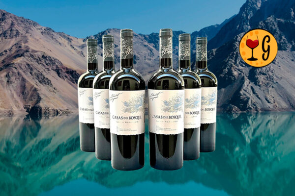 Kit 6 Garrafas Casas Del Bosque Gran Reserva Cabernet Sauvignon 2020 – Potência e Elegância do Maipo Multiplicadas por Seis - Thumbnail